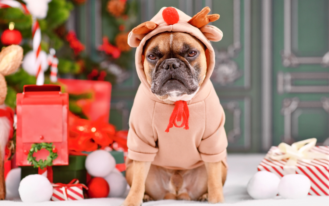 I HATE Christmas! 3 tips to manage your holiday hate without turning into a Grinch
